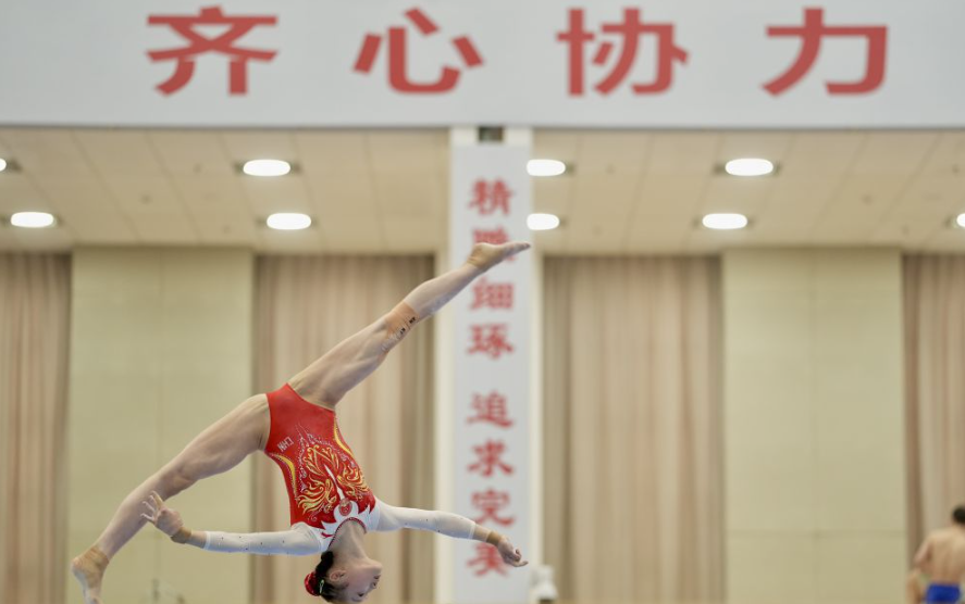 畅玩米乐m6应用：下载与功能探讨